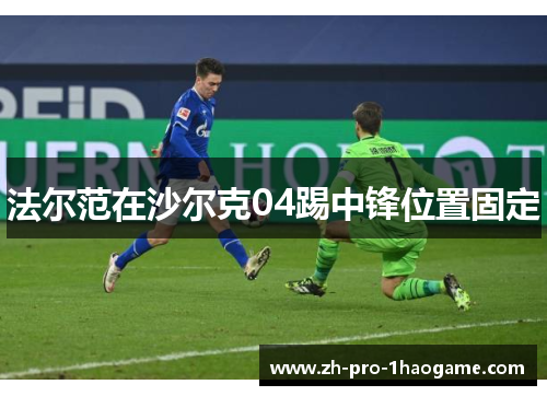 法尔范在沙尔克04踢中锋位置固定