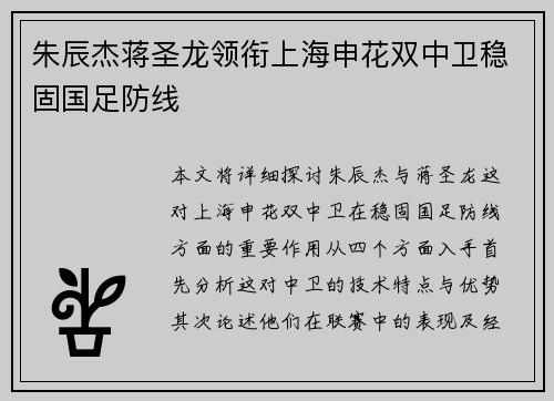 朱辰杰蒋圣龙领衔上海申花双中卫稳固国足防线